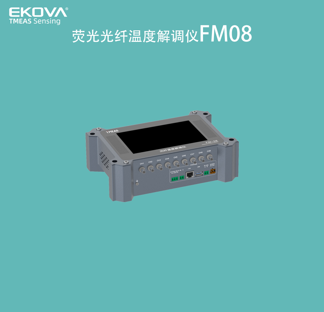 荧光温度表FM08-细节1 拷贝