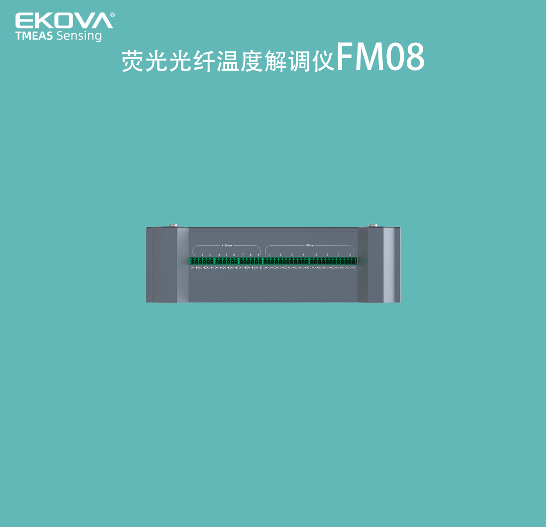 荧光温度表FM08-细节2 拷贝