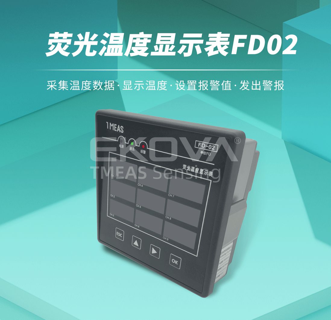 荧光温度显示表FD02