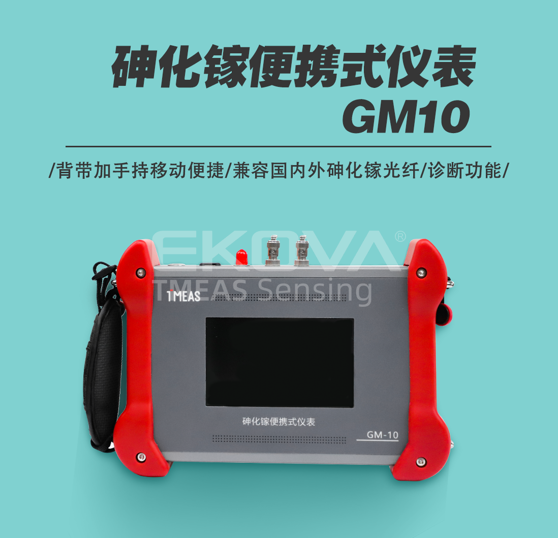 砷化镓便携式仪表GM10
