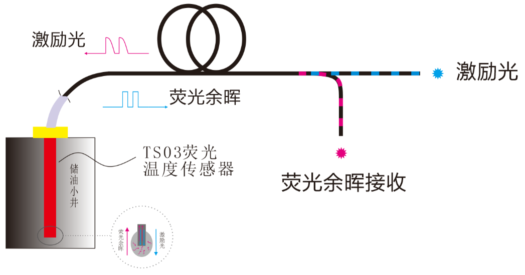 TS03-插图0